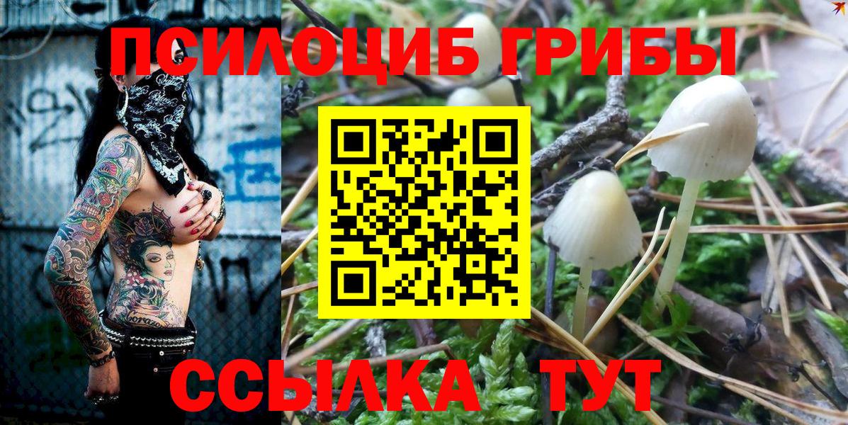 Сухой Лог  Псилоцибиновые грибы Psilocybine cubensis  Вход с VPN  Галлюциногенные грибы MAGIC MUSHROOMS 